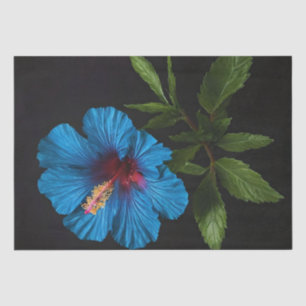 Papier Mousseline Fleur Hibiscus Bleu Sur Noir, Découpage