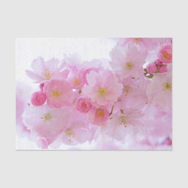 Papier Mousseline Fleur japonaise de cerisier (Recto)