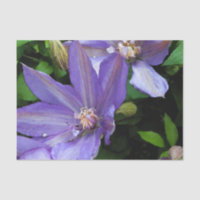 Fleur pourpre Decoupage de gloire de matin