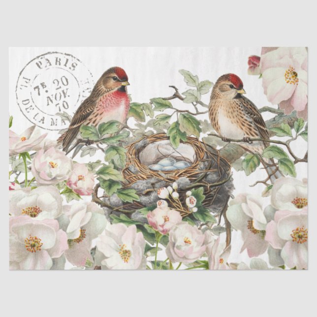 Papier Mousseline Fleur Rose de nid d'oiseaux Postmark Printemps Déc (Recto)