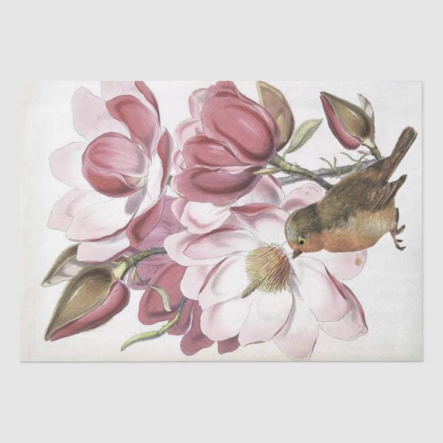 Papier Mousseline Fleur rose Magnolia Botanique Robin Oiseau Artisan (Recto)