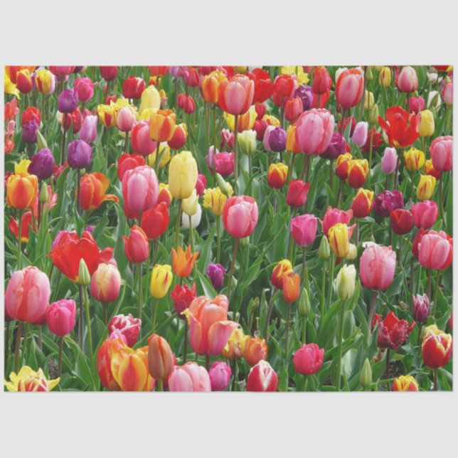 Papier Mousseline Fleur Tulip (Recto)