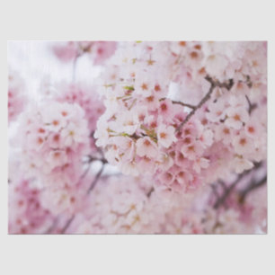Papier Mousseline Fleurs de cerisiers