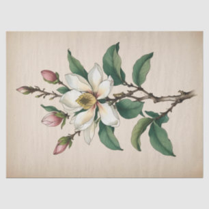 Papier Mousseline Fleurs de Magnolia