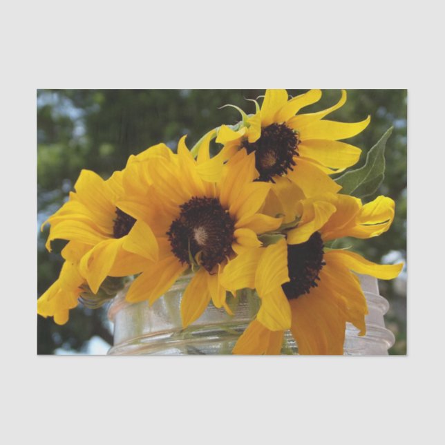 Papier Mousseline Fleurs de soleil jaunes fraîches dans un bocal (Recto)