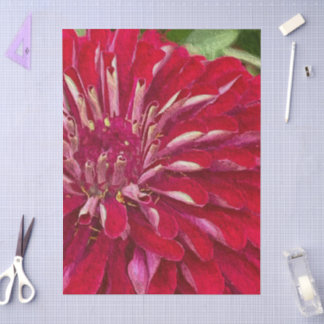 Papier Mousseline Fleurs de Zinnias Rouges