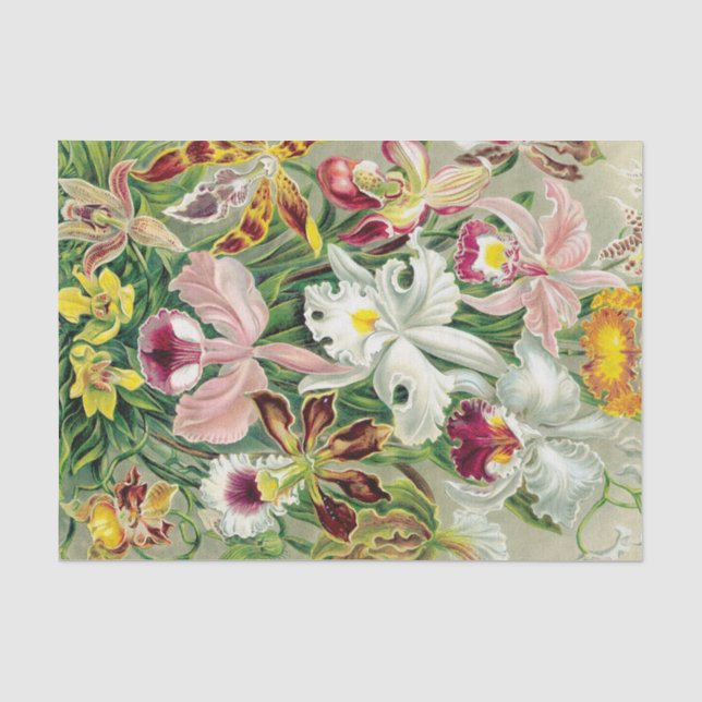 Papier Mousseline Fleurs d'orchidées tropicales Papier de tissus flo (Recto)