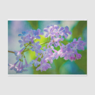 Papier Mousseline Fleurs Lilac Violettes
