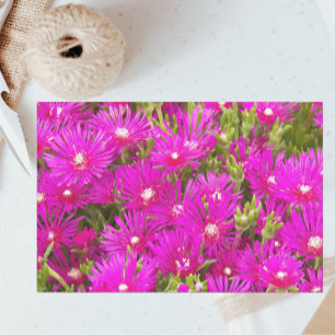 Papier Mousseline Fleurs Plantes de glace rose Floral