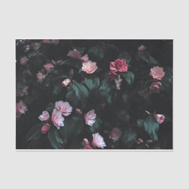Papier Mousseline Fleurs roses romantiques sur Arrière - plan foncé (Recto)