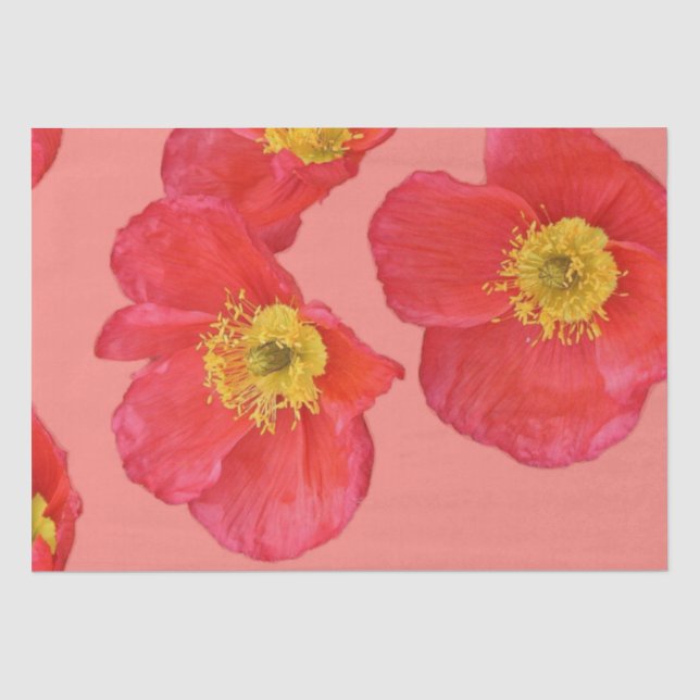 Papier Mousseline Fleurs rouges de pavot (Recto)