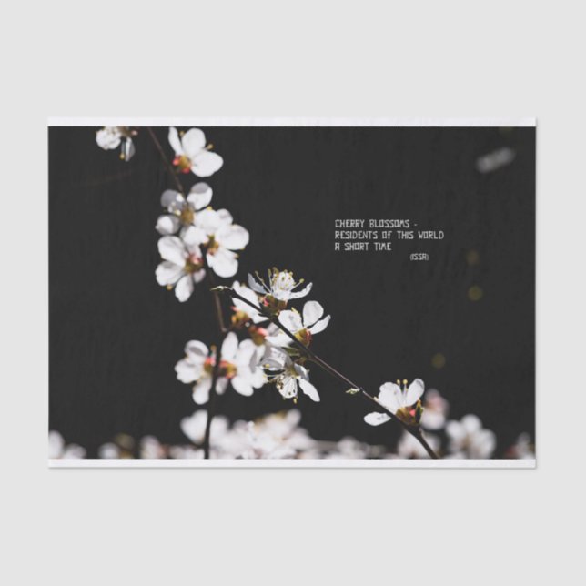 Papier Mousseline Fleurs Sakura (Recto)