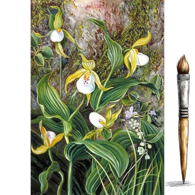 Papier Mousseline Fleurs sauvages de Simla, Inde par Marianne North (Créateur téléchargé)