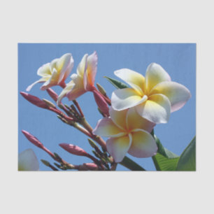 Papier Mousseline Fleurs voyantes de Frangipani de Plumeria
