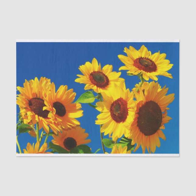 Papier Mousseline Floraison de tournesols (Recto)