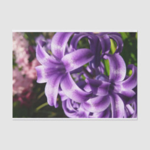 Papier Mousseline Floral Blue Hyacinth