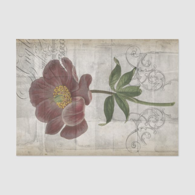 Papier Mousseline Floral français I (Recto)