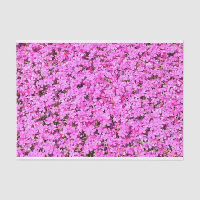 Papier Mousseline Floral rose vibre (Recto)