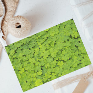 Papier Mousseline Floral Shamrock vert brillant