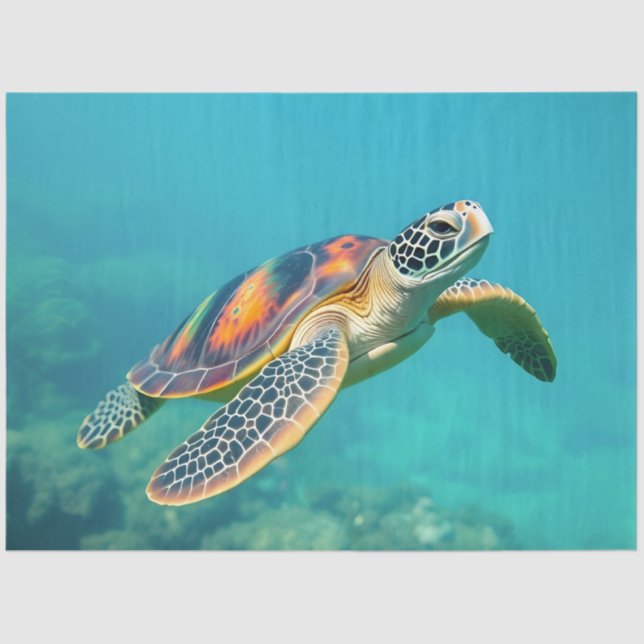 Papier Mousseline Flottes de tortue verte (Recto)