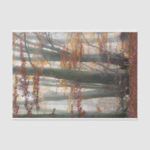 Papier Mousseline Forêt brumeuse mystique en automne