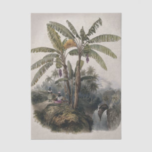 Papier Mousseline Forêt de bananiers tropicaux antiques   Bota vinta