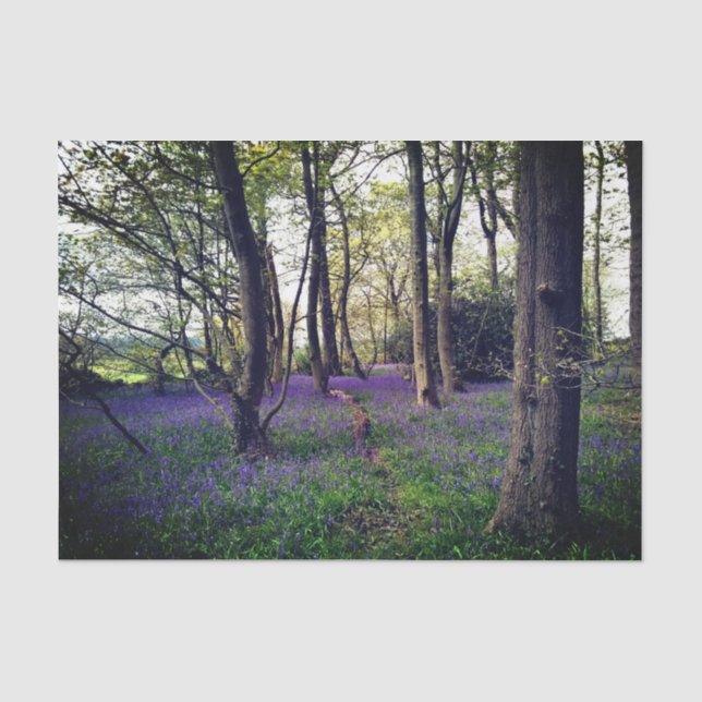 Papier Mousseline Forêt de Bluebells Floral moderne élégant (Recto)