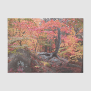 Papier Mousseline Forêt de bois automnal découpage arbres rouges ora