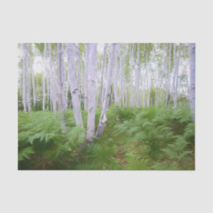 Papier Mousseline Forêt de bouleaux verts de la forêt de fougères de