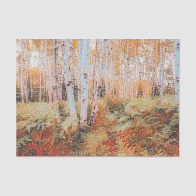 Papier Mousseline Forêt de fougères boisées automnales avec bouleaux (Recto)