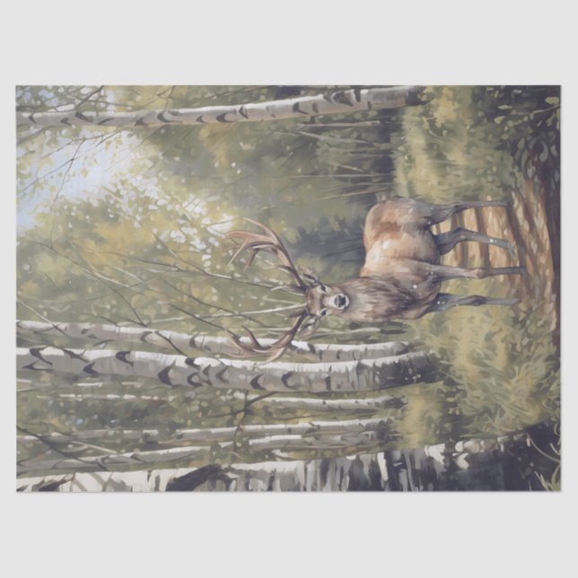 Papier Mousseline Forêt de stade (Recto)