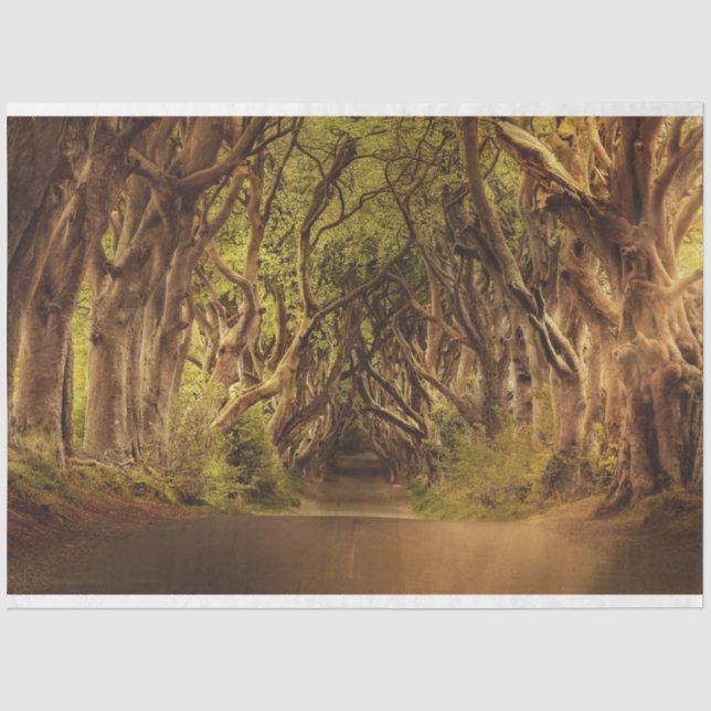 Papier Mousseline Forêt d'Imaginaire Gothique 20x30 Découpage Papier (Recto)