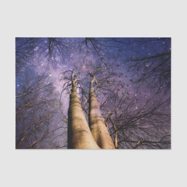 Papier Mousseline Forêt enchantée (Recto)