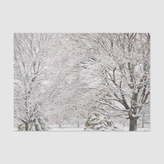 Papier Mousseline Forêt hivernale neige (Recto)