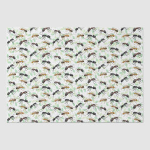 Papier Mousseline Fourmis Insectes Bestioles Créatures Rampantes Cru