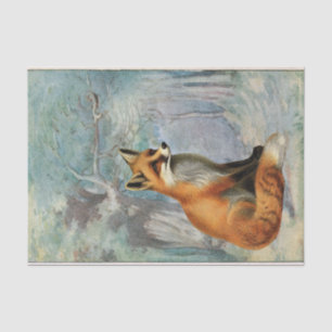 Papier Mousseline Fox Enchanted Forest Woodland Fairytale Decoupage