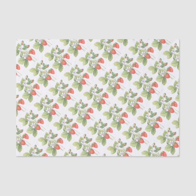 Papier Mousseline Fraises (Recto)