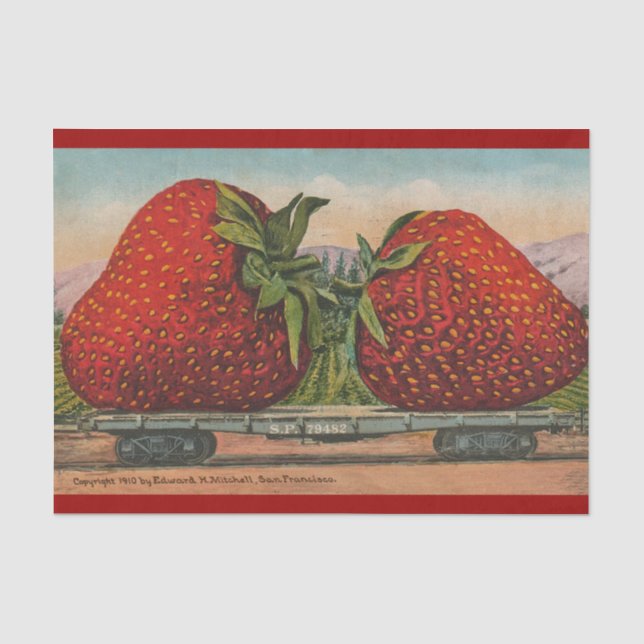 Papier Mousseline Fraises Giant Fruit Antique Fruit Amusant (Recto)
