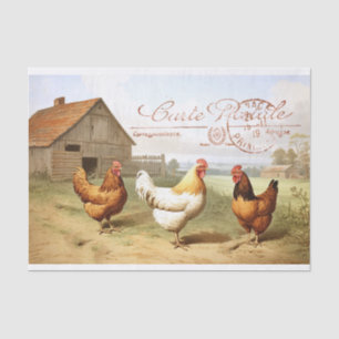 Papier Mousseline Français Agricole Poulet Grange Hen Bird Découpage