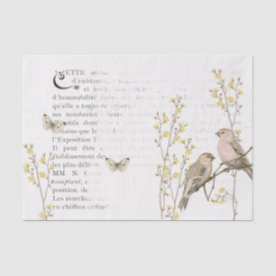 Papier Mousseline Français Texte Redpoly Bird Yellow Flower Decoupag