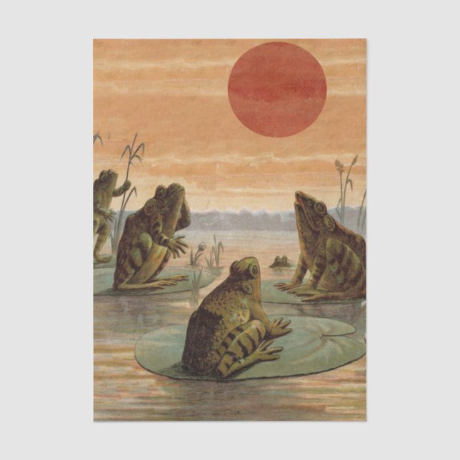 Papier Mousseline Frogs Lily Pads Moon Illustration (Recto)