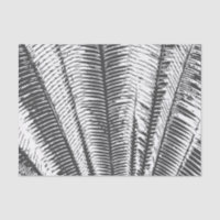 Frondes tropicales modernes noires et blanches de