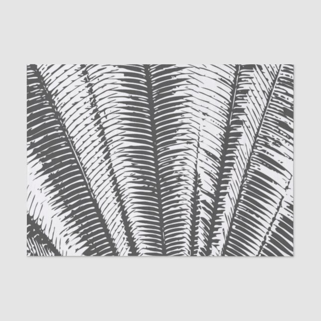 Papier Mousseline Frondes tropicales modernes noires et blanches de (Recto)