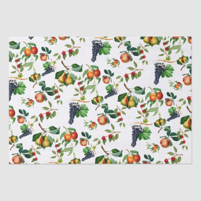 Papier Mousseline Fruits Vintages (Recto)