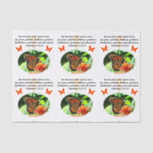 PAPIER MOUSSELINE GALATIENS 5 PHOTOGRAPHIES EN BOUTEILLE