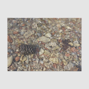Papier Mousseline Galets dans Taylor Creek Nature Photography