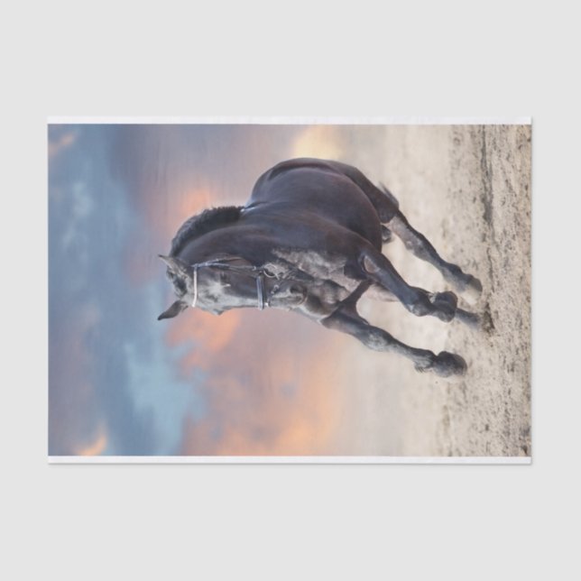 Papier Mousseline Galopage de cheval friésien noir (Recto)