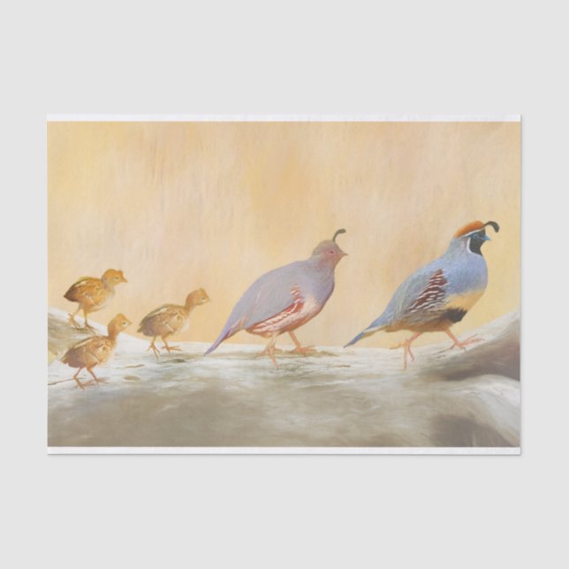 Papier Mousseline Gambrel's Quail Painting Original Bird Art (Recto)