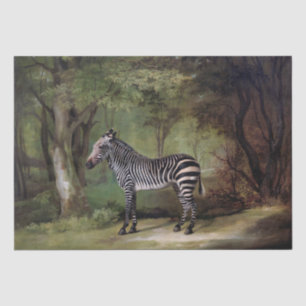 Papier Mousseline George Stubbs Zebra (1763)