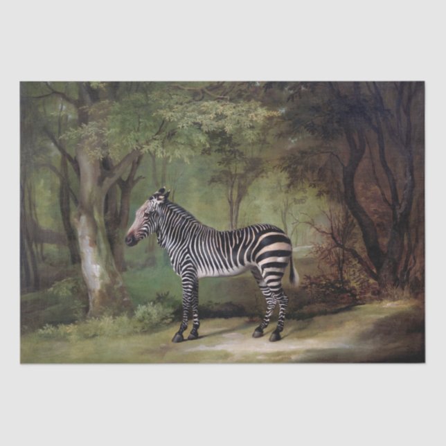 Papier Mousseline George Stubbs | Zebra (1763) (Recto)